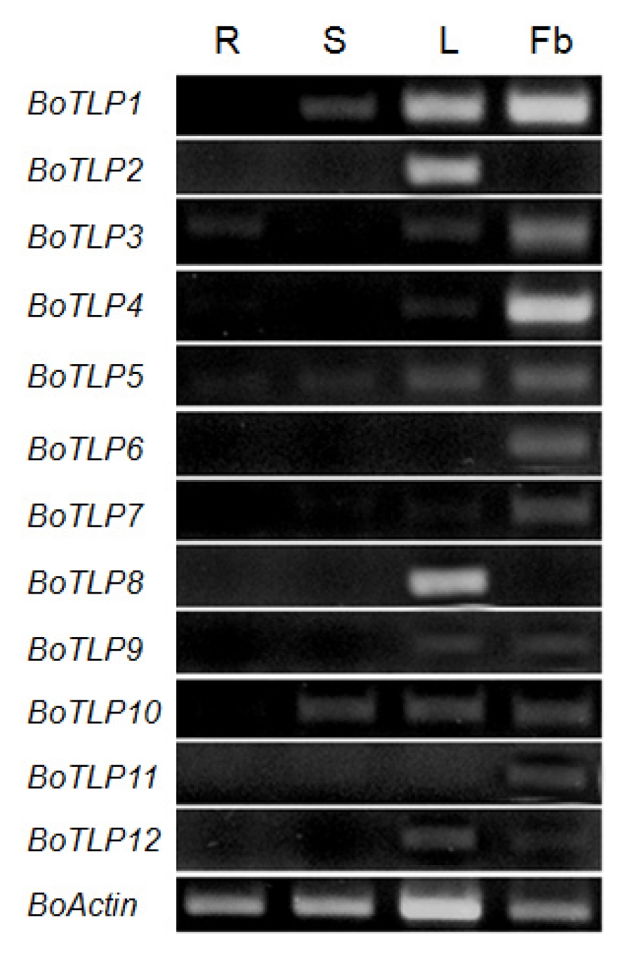 pbb-01-111f3.jpg