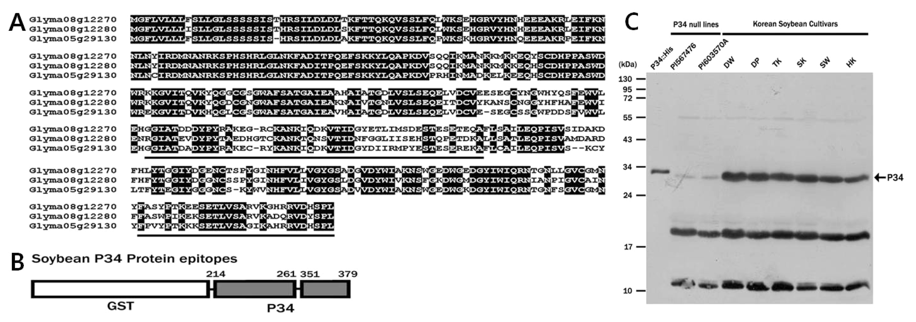 pbb-01-298f4.jpg