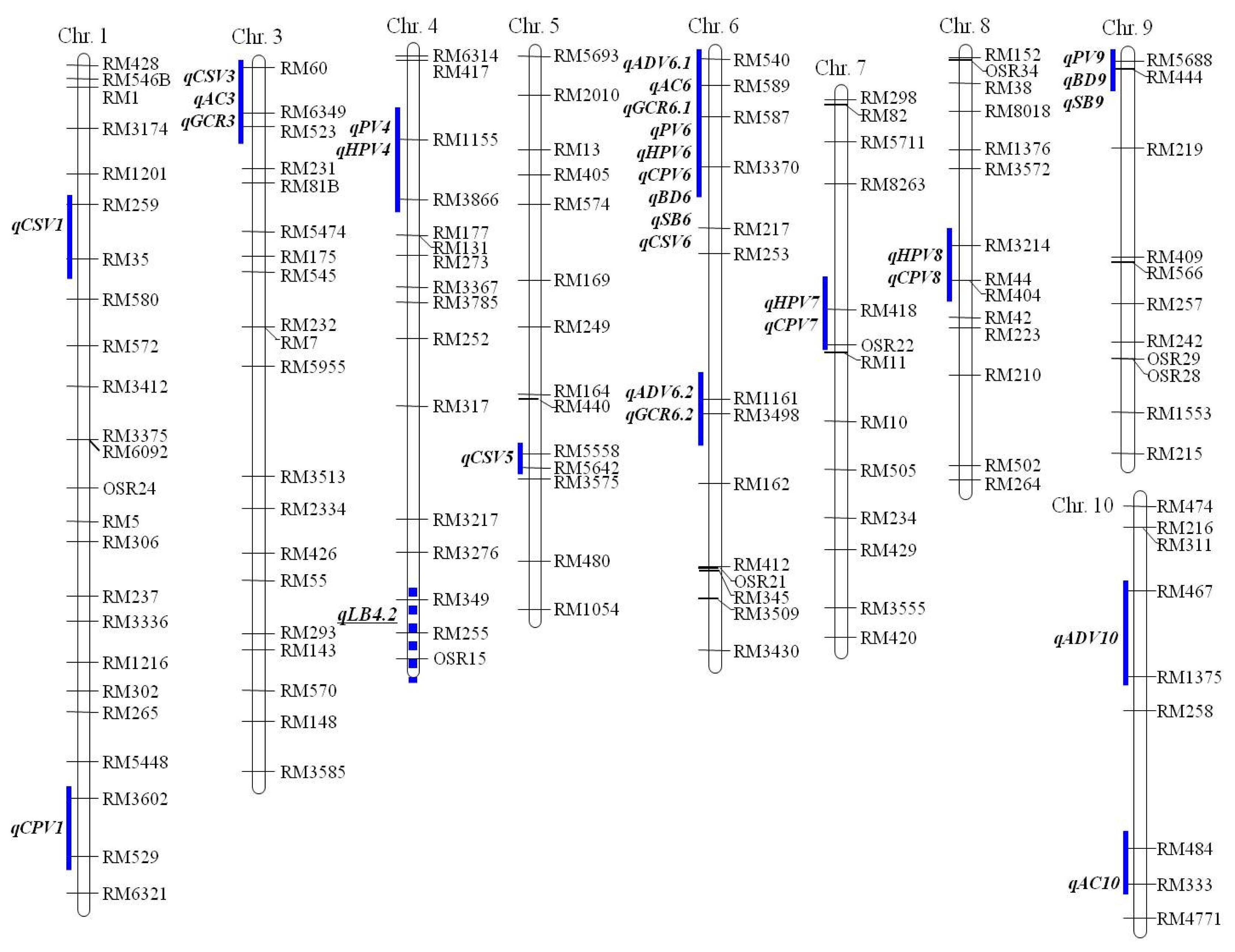 pbb-01-333f2.jpg