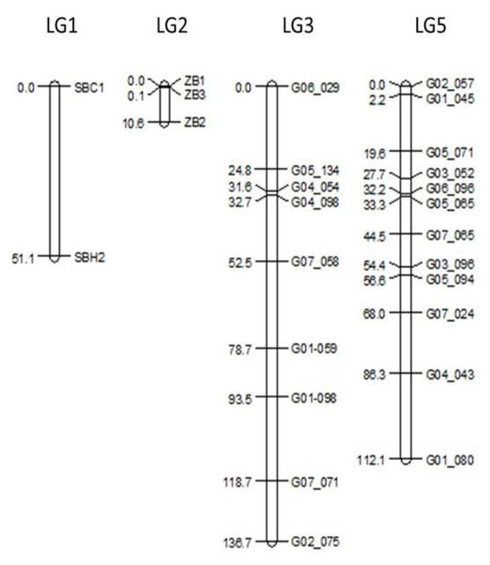 pbb-01-385f2.jpg