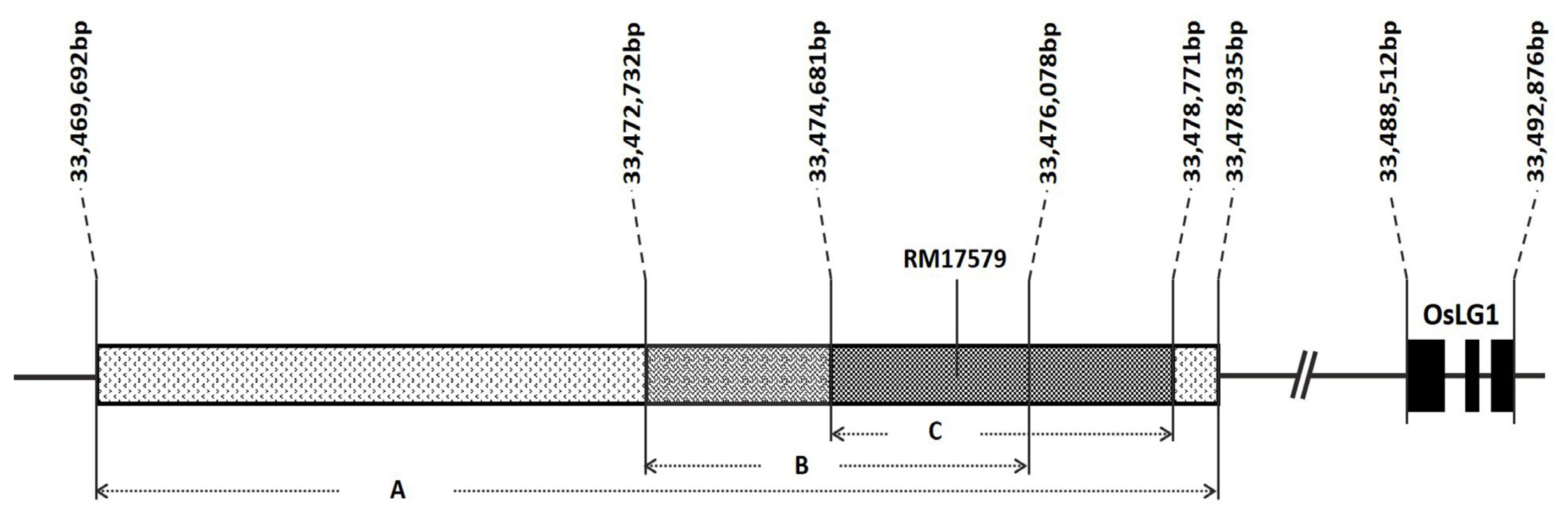 pbb-02-117f3.jpg