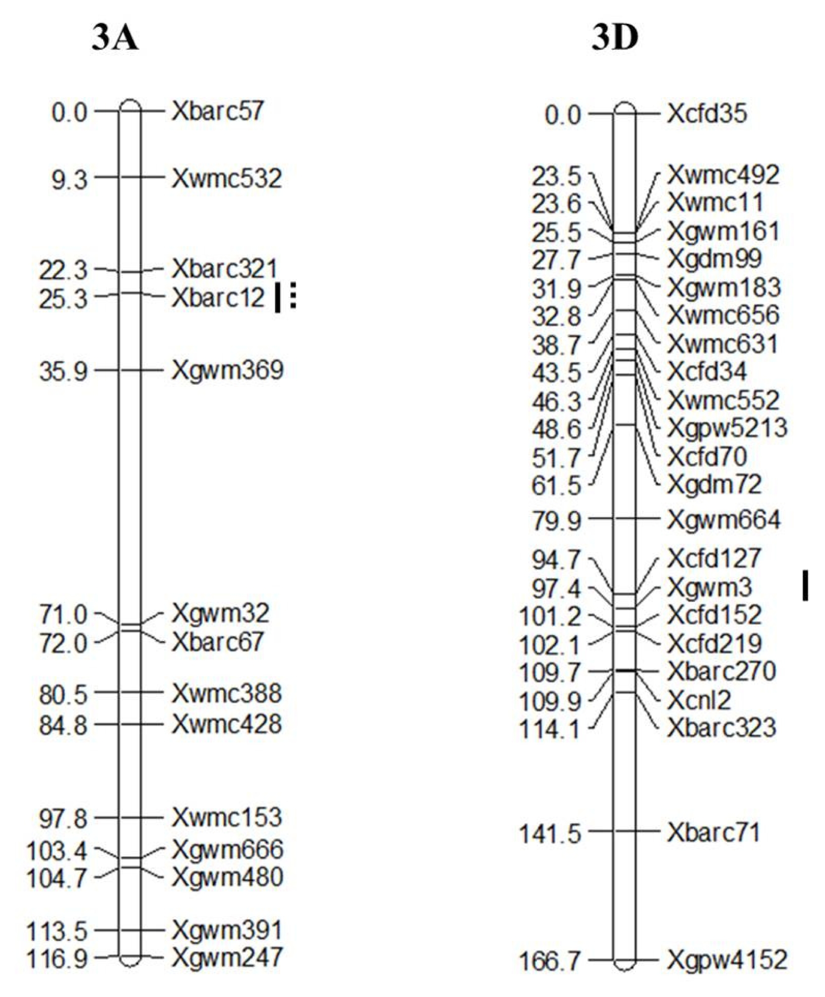 pbb-02-247f3.jpg