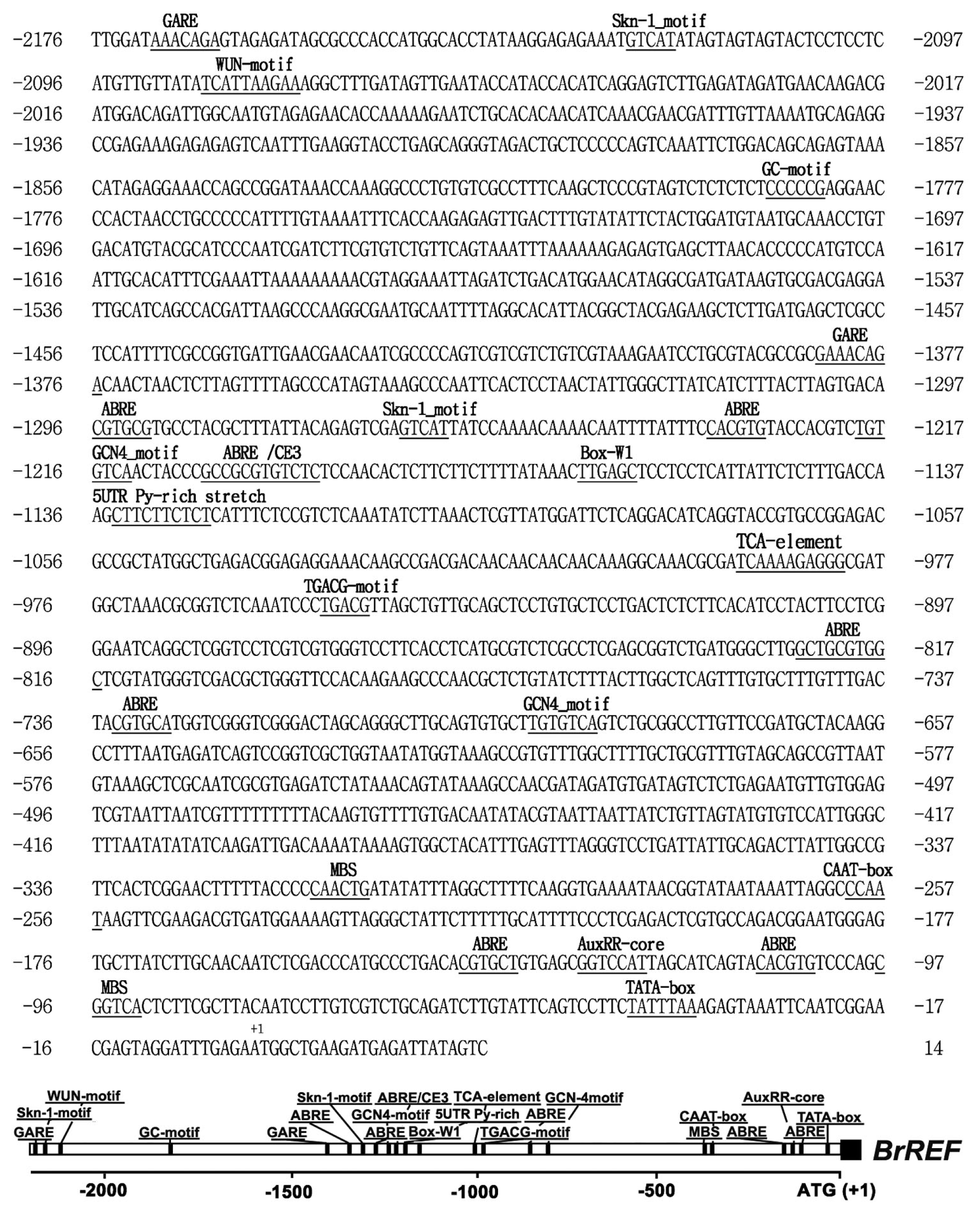 pbb-02-289f7.jpg