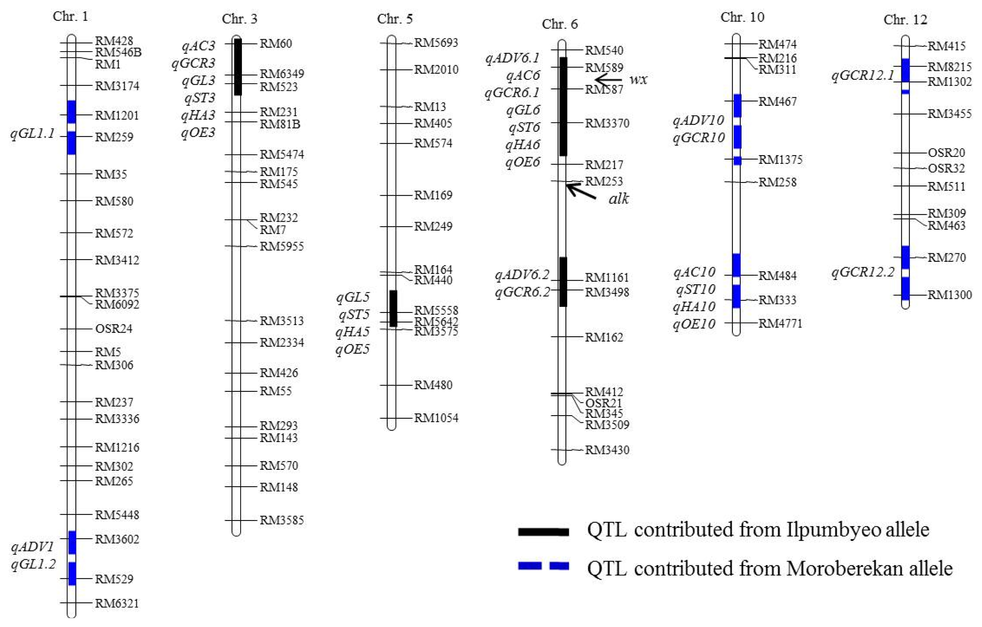 pbb-02-342f3.jpg