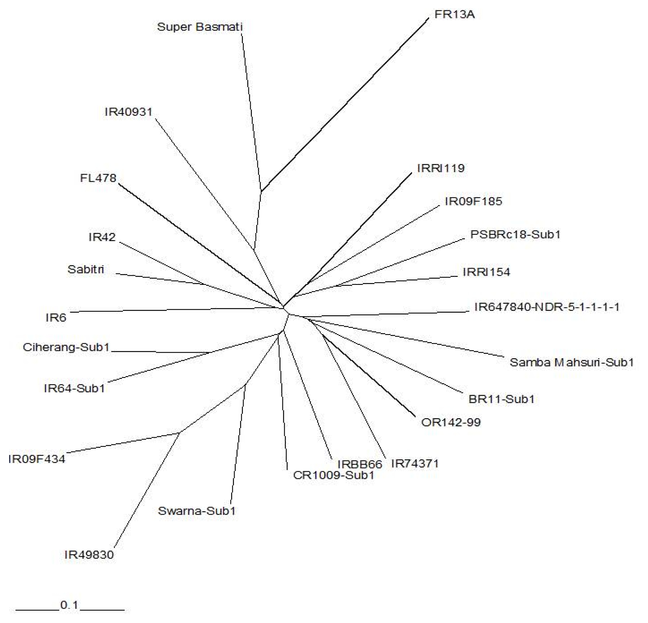 pbb-03-139f3.jpg