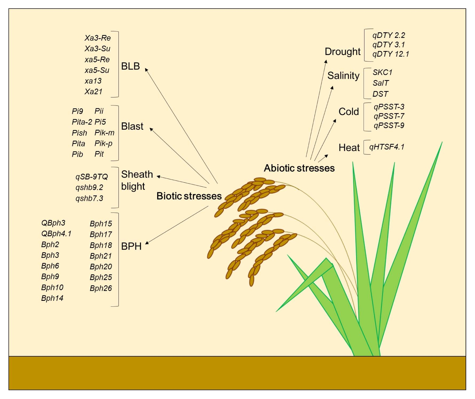 pbb-04-271f1.jpg