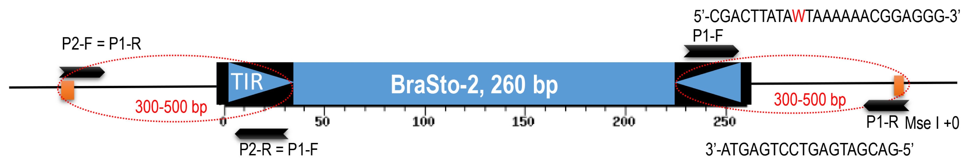 pbb-04-285f2.jpg