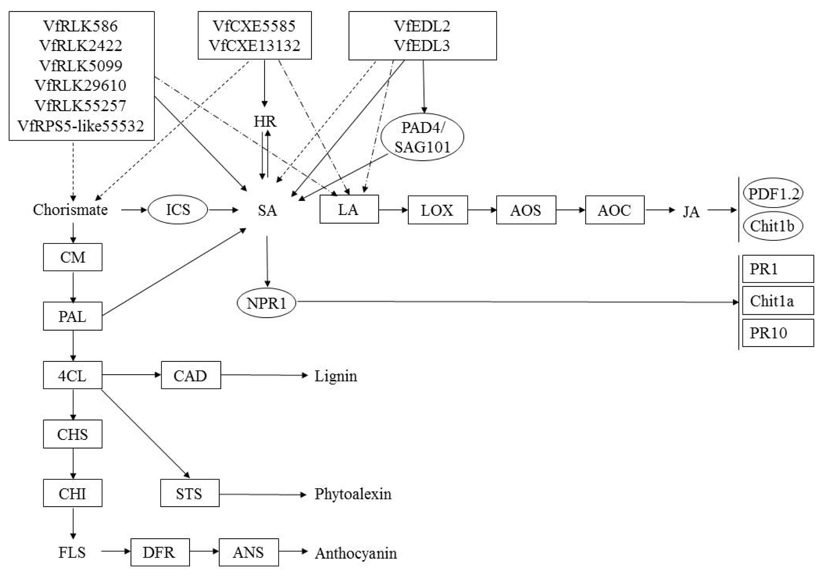 pbb-04-324f10.jpg