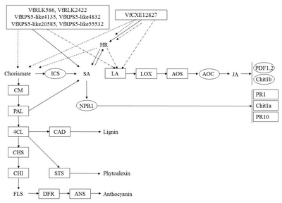 pbb-04-324f6.jpg