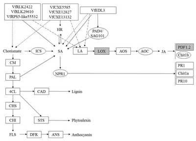 pbb-04-324f8.jpg
