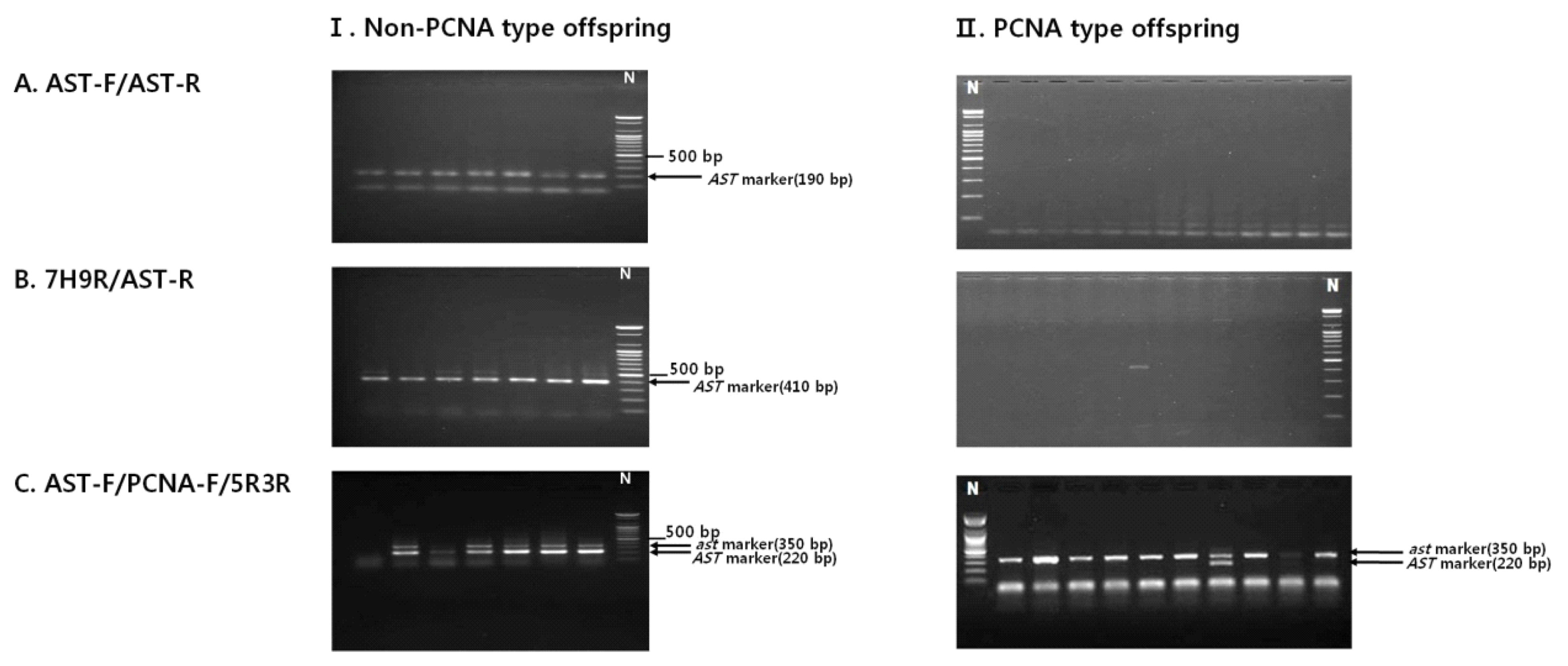 pbb-04-336f2.jpg