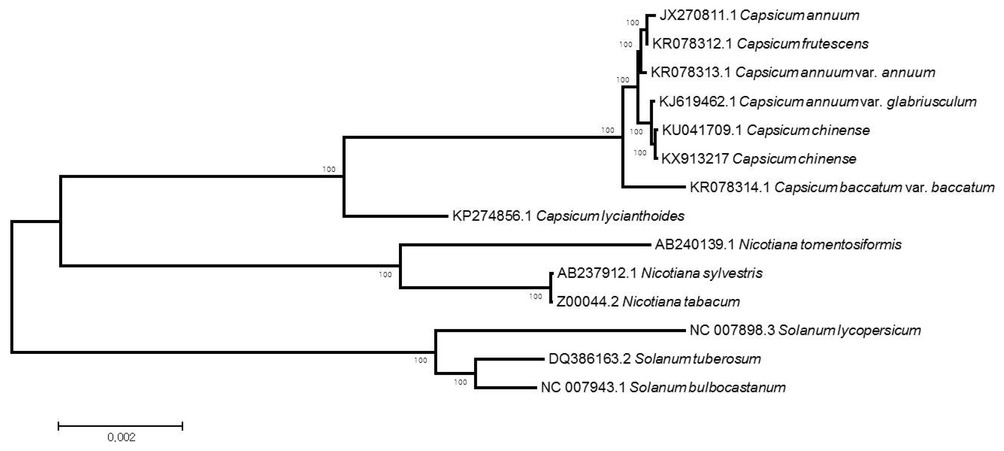 pbb-05-261f2.jpg