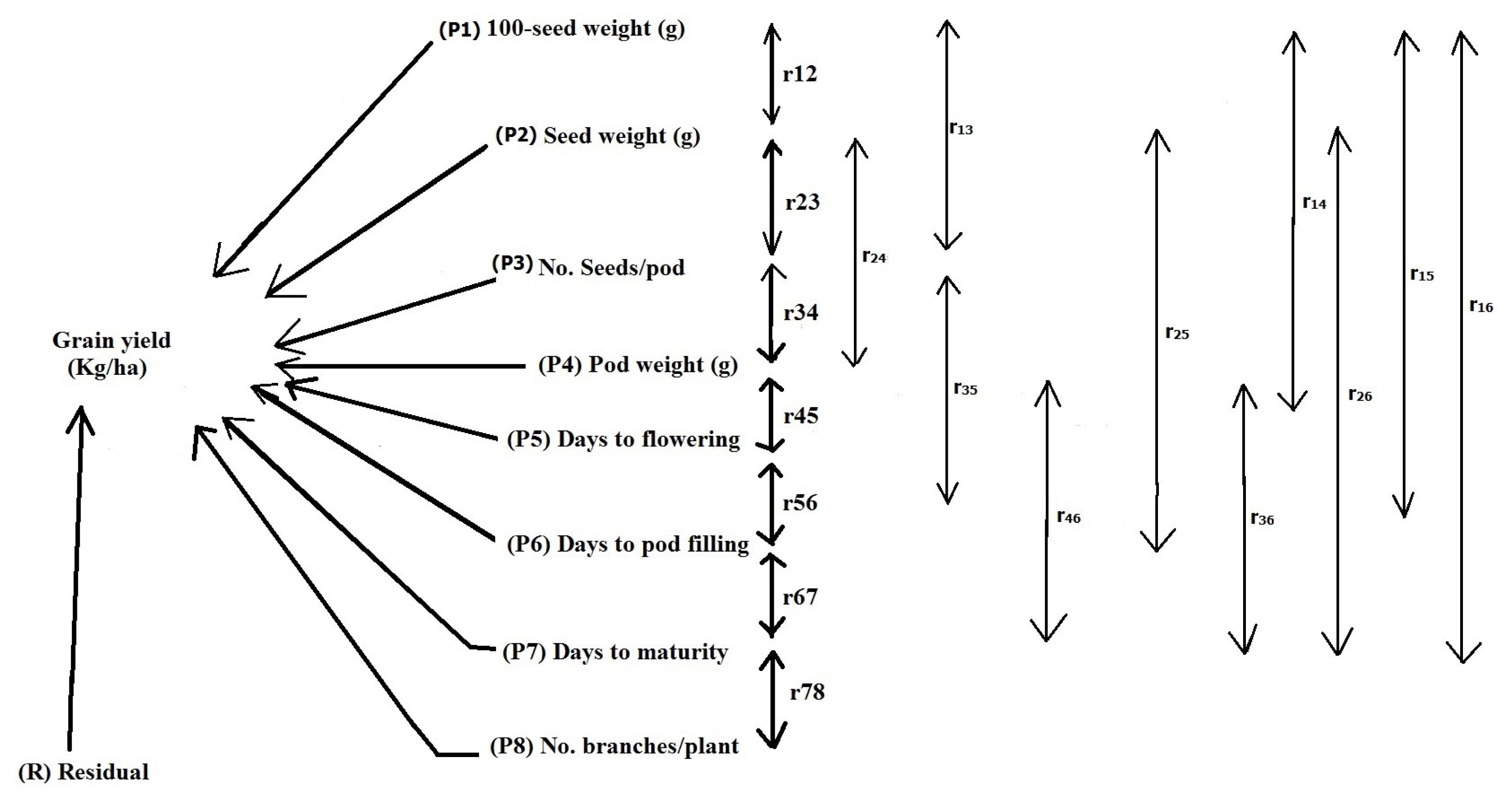 pbb-06-095f1.jpg