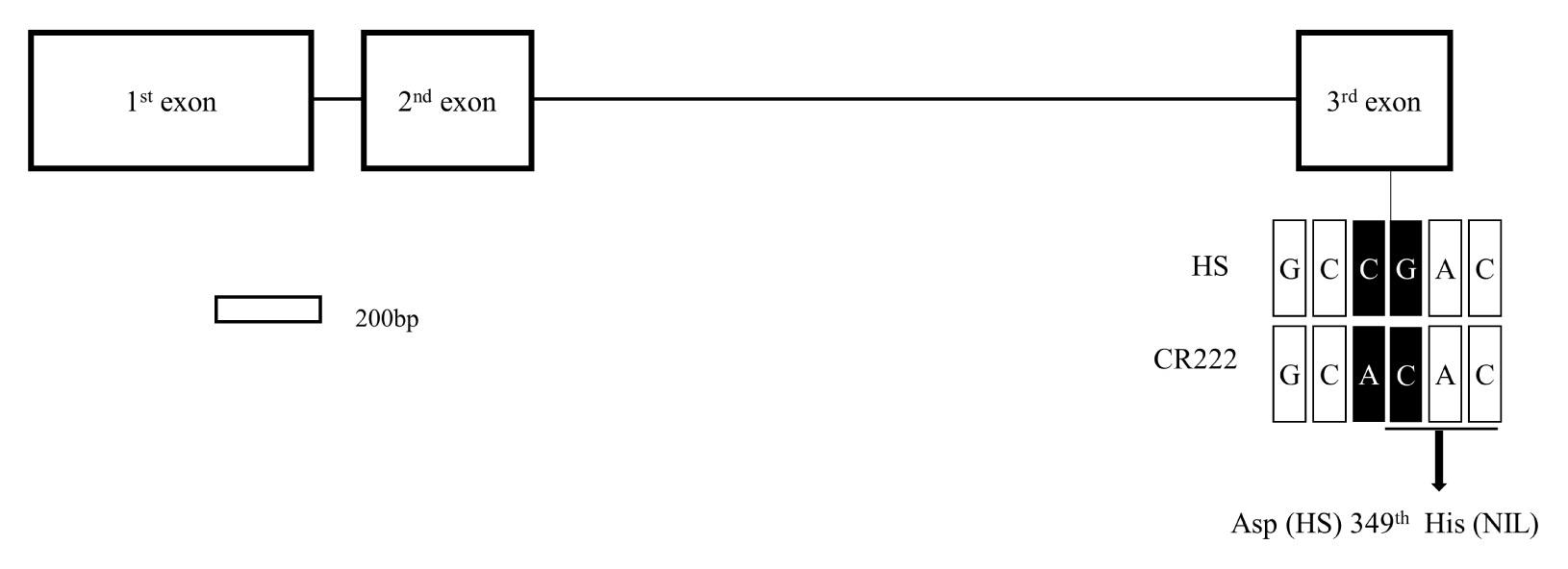 pbb-06-140f5.jpg