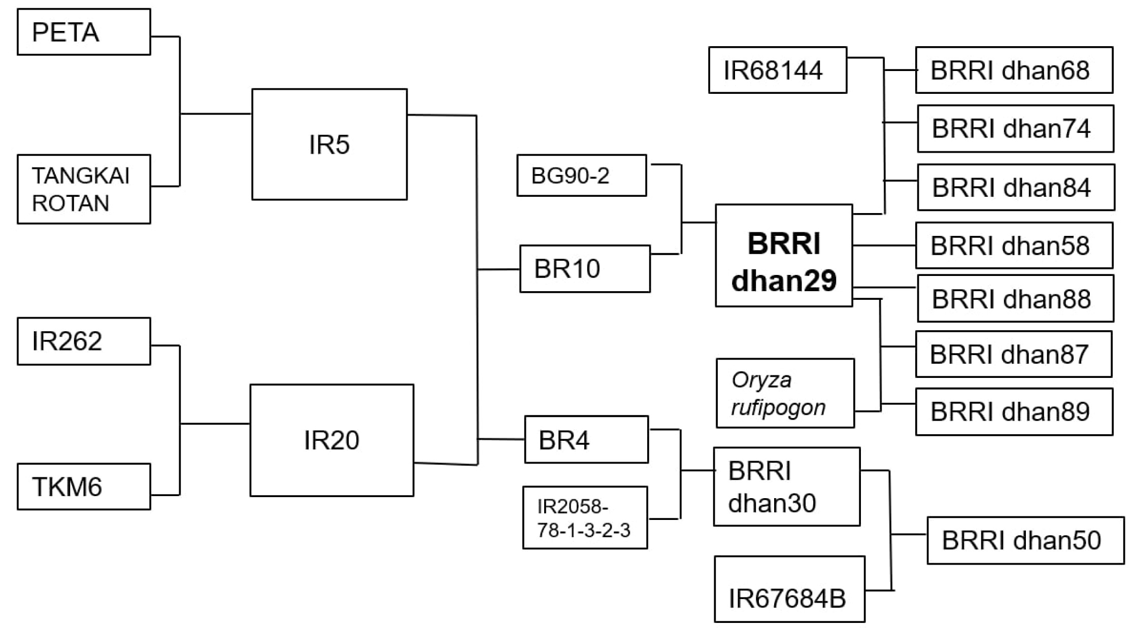 pbb-10-2-81-f3.jpg