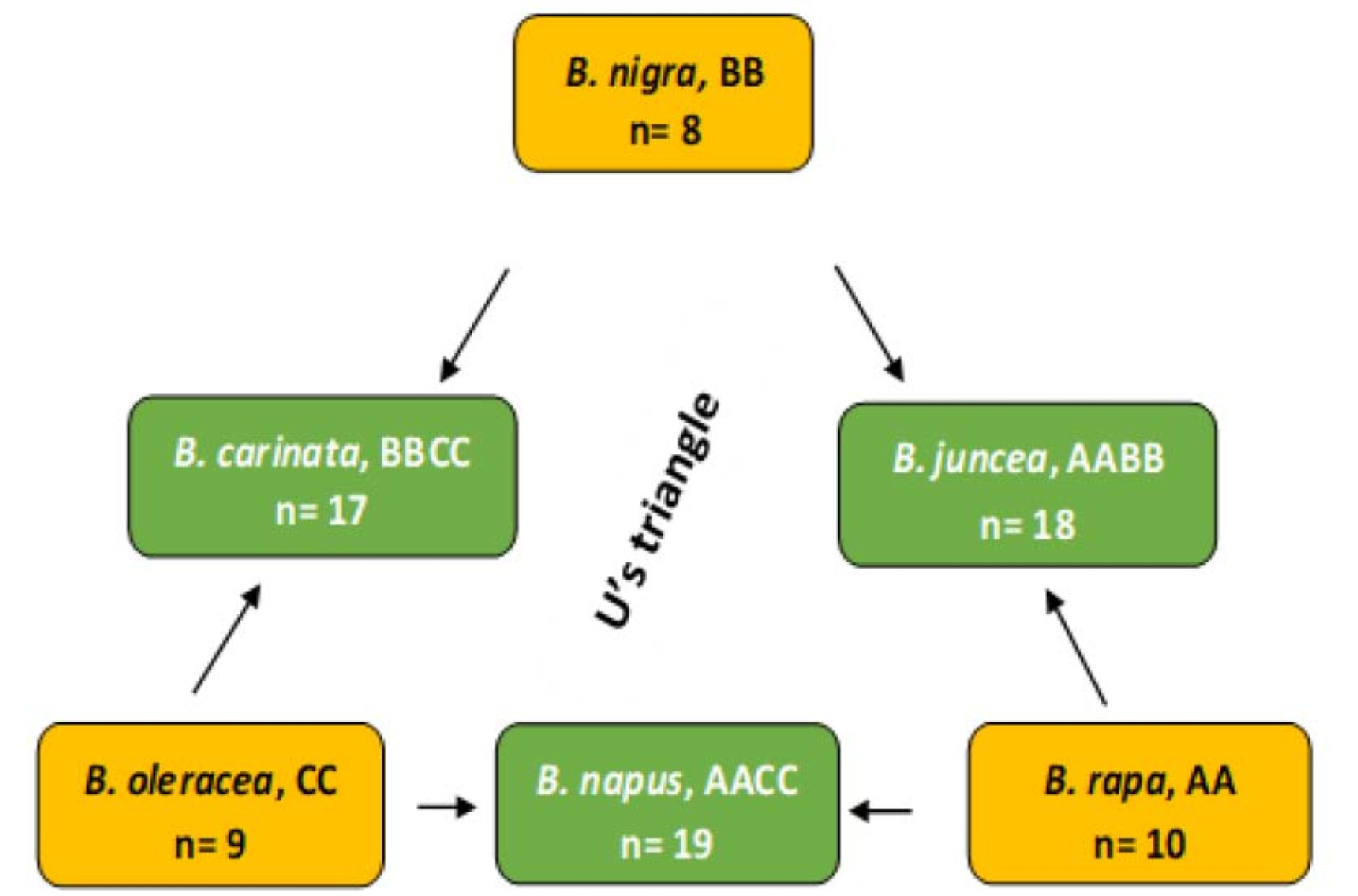 pbb-11-1-1-f2.jpg