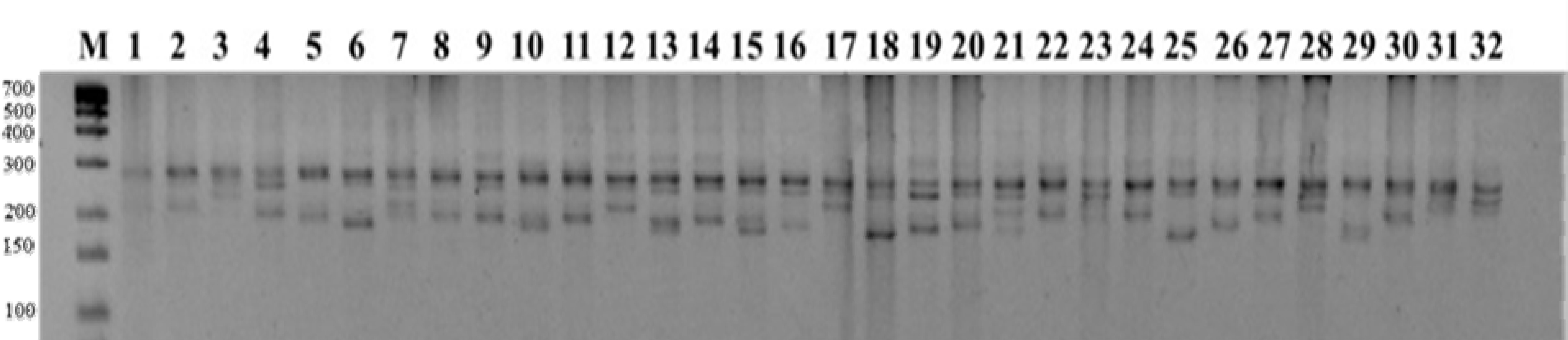 pbb-12-193-f1.jpg