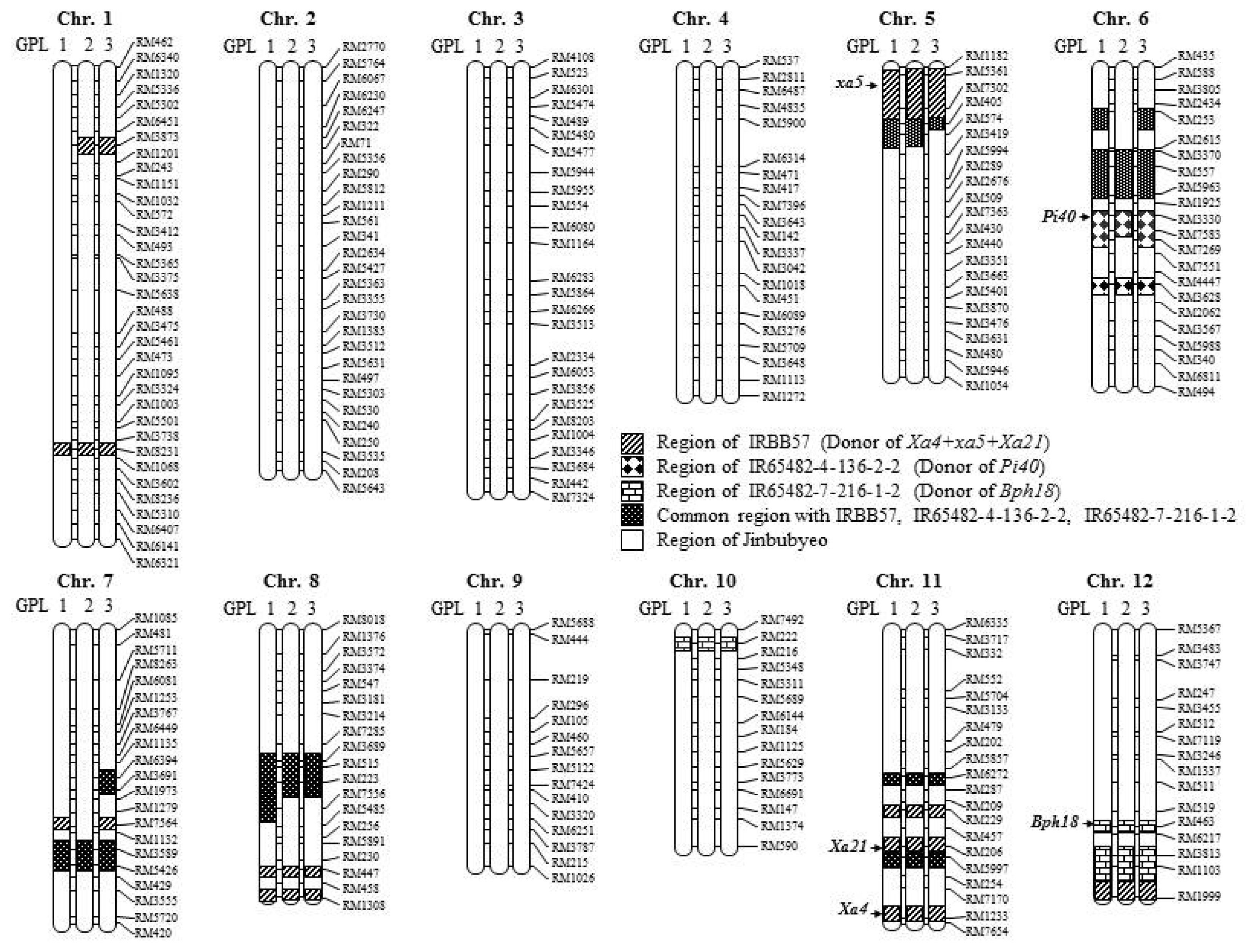 pbb-15-333f6.jpg