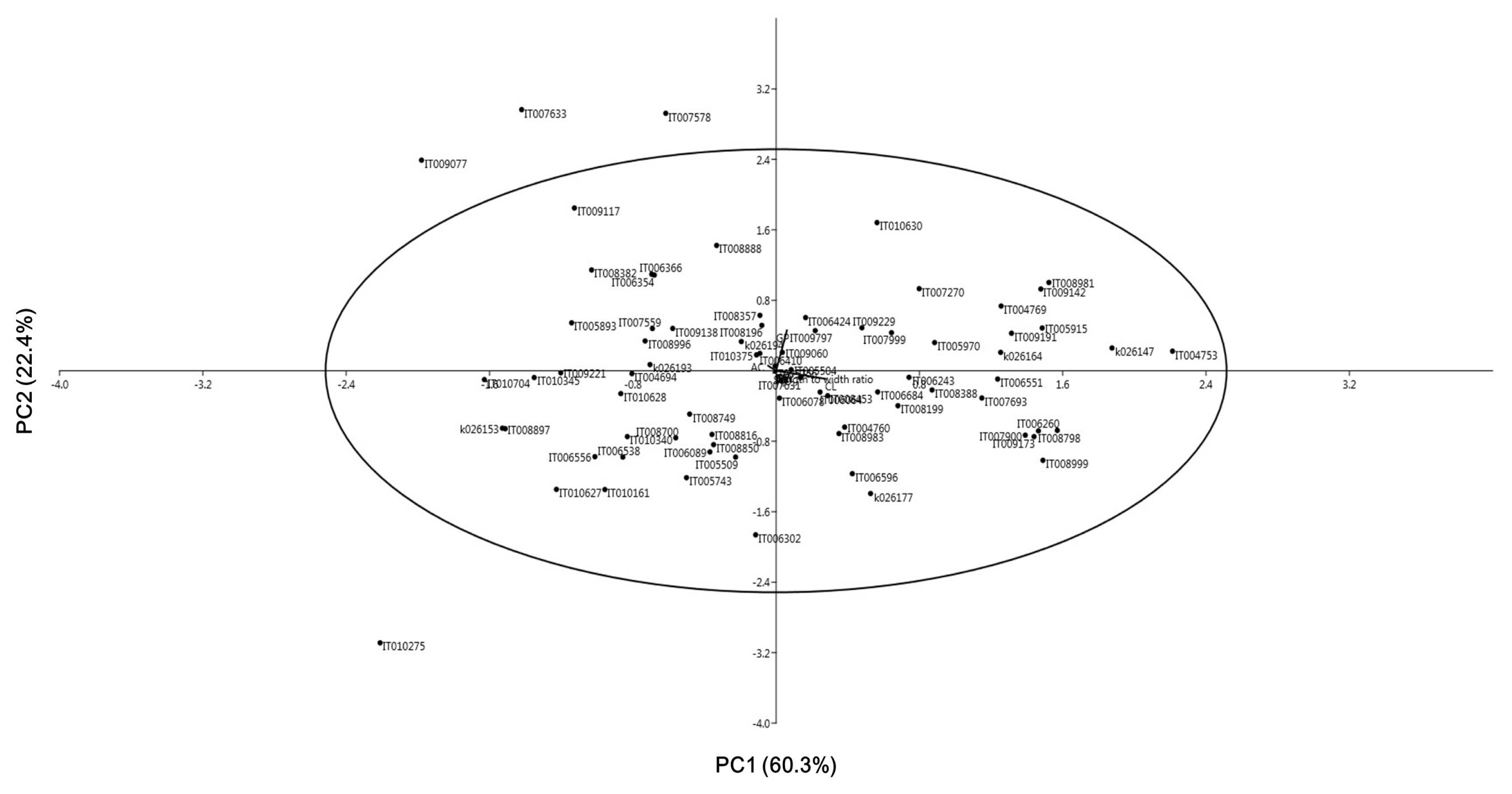 pbb-3-216f1.jpg