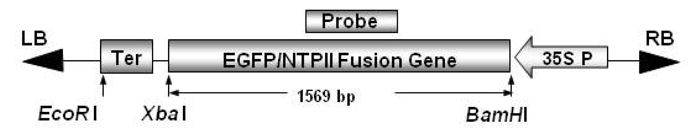 pbb-3-238f1.jpg