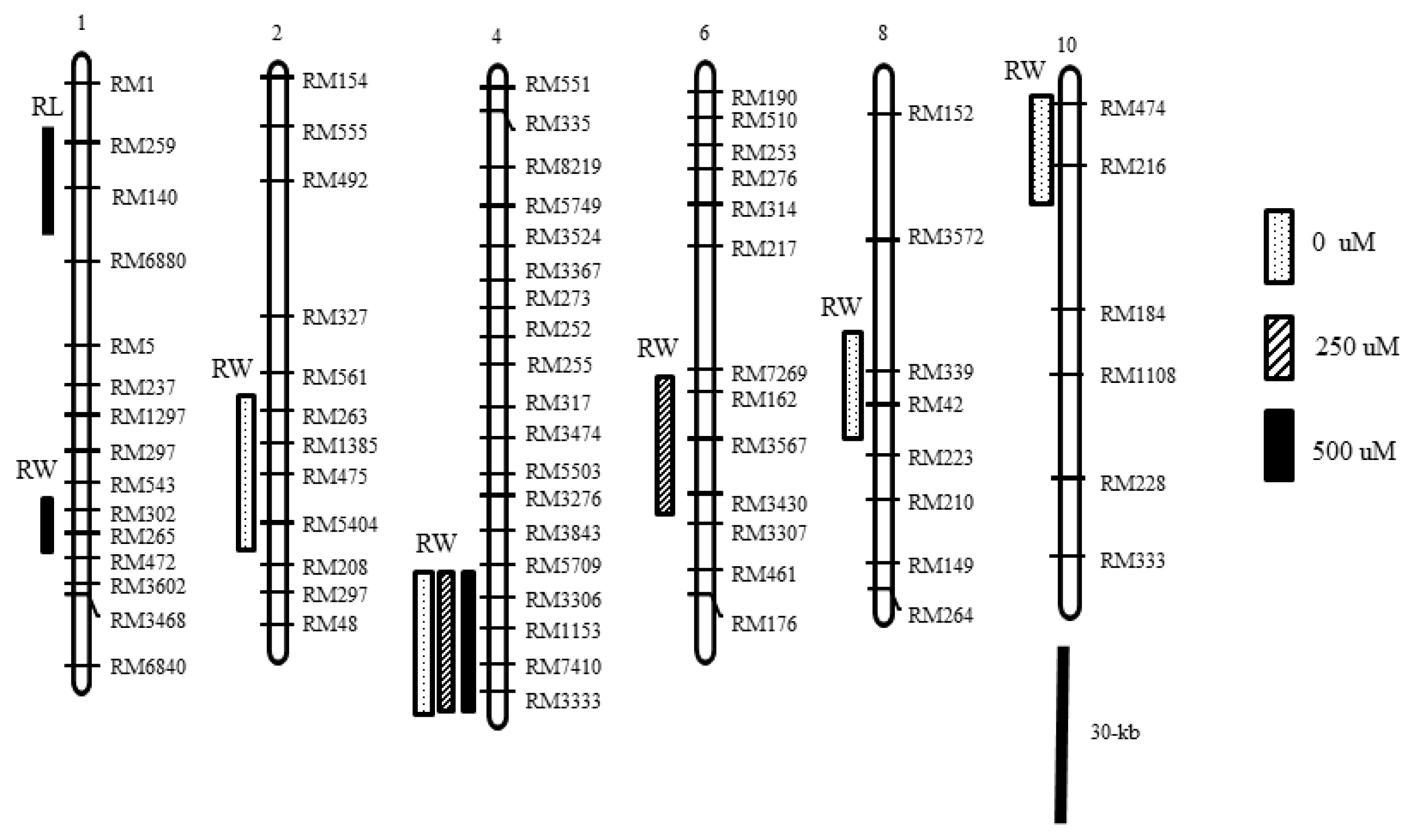 pbb-3-244f3.jpg
