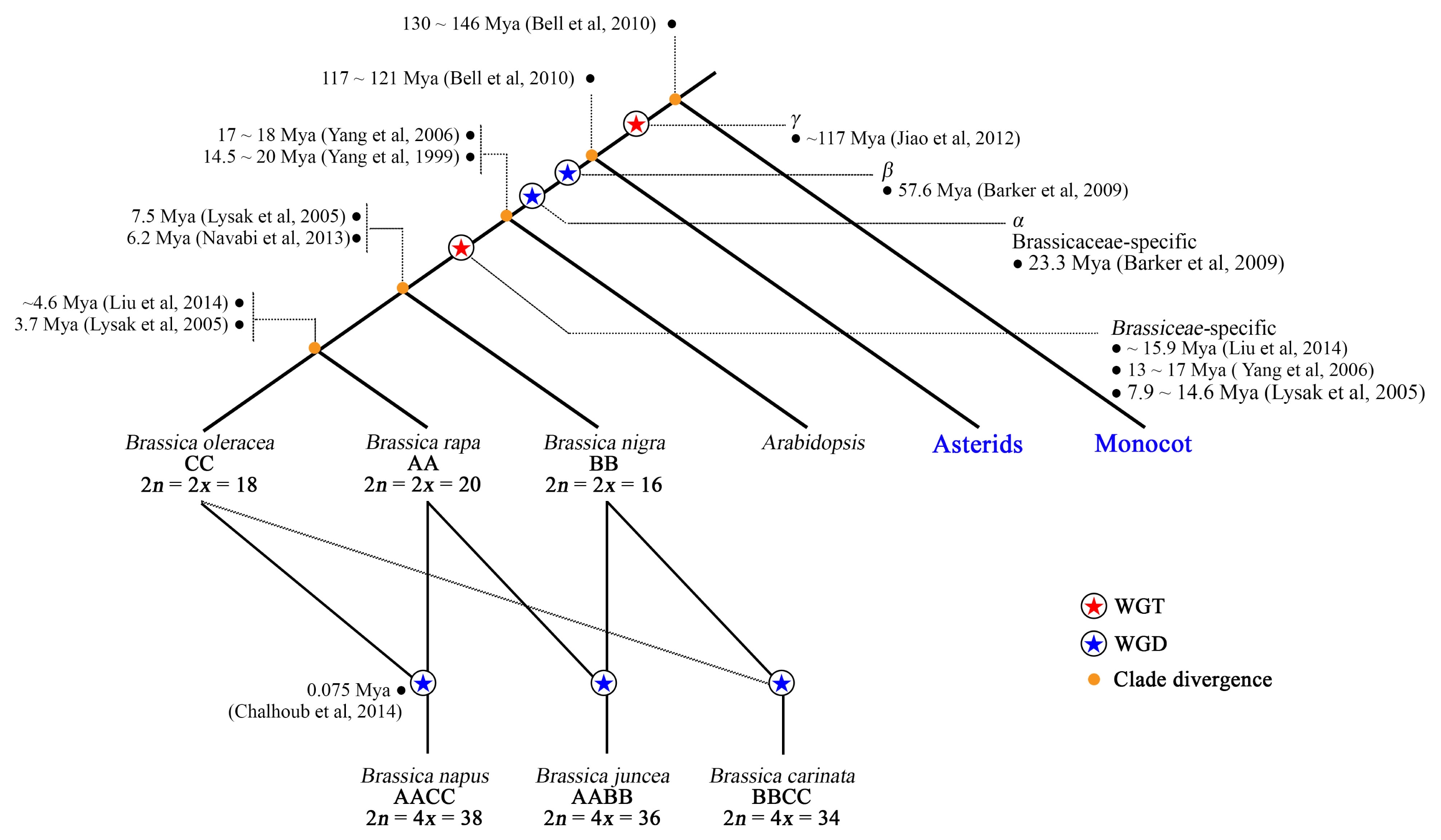 pbb-4-107f2.jpg