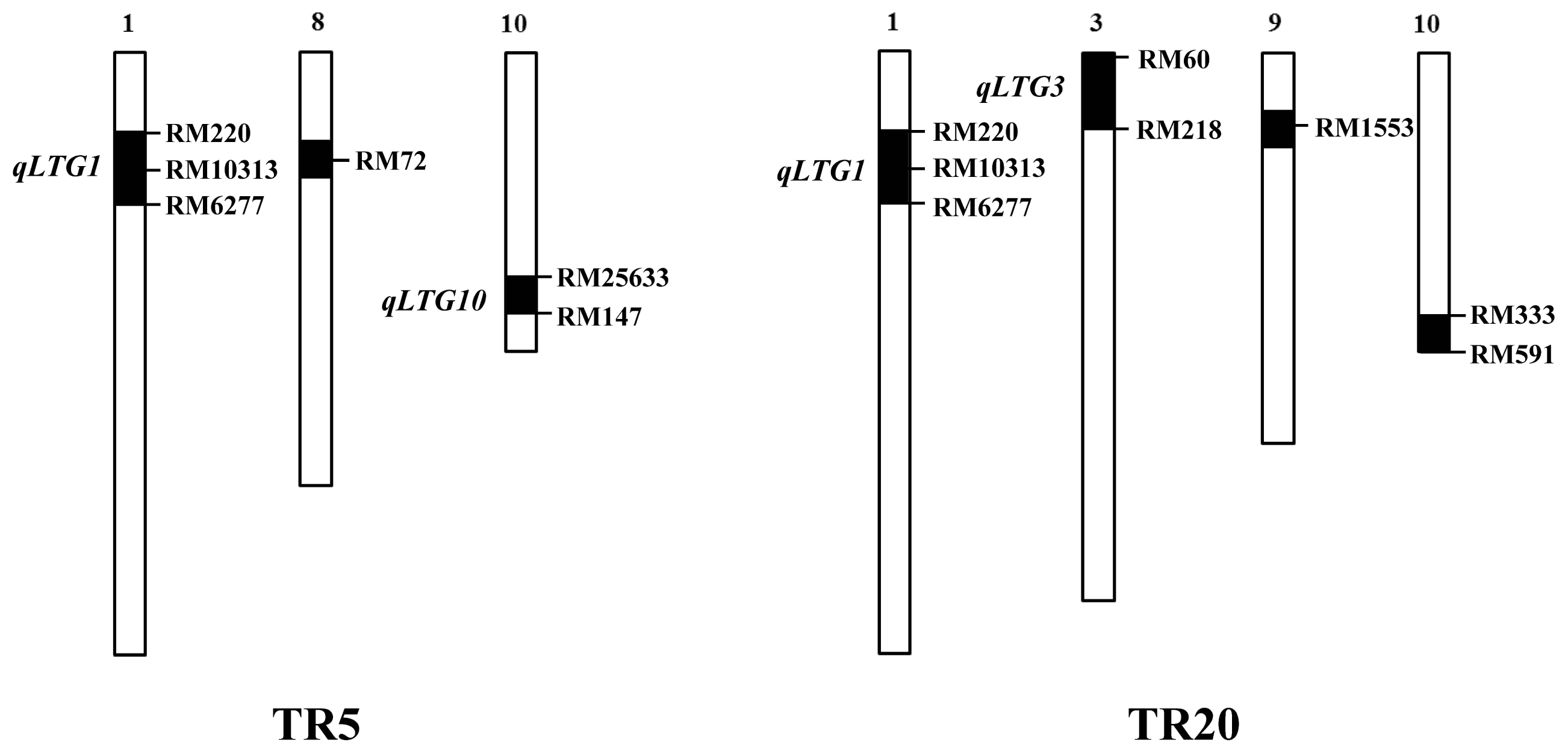 pbb-7-141f1.jpg