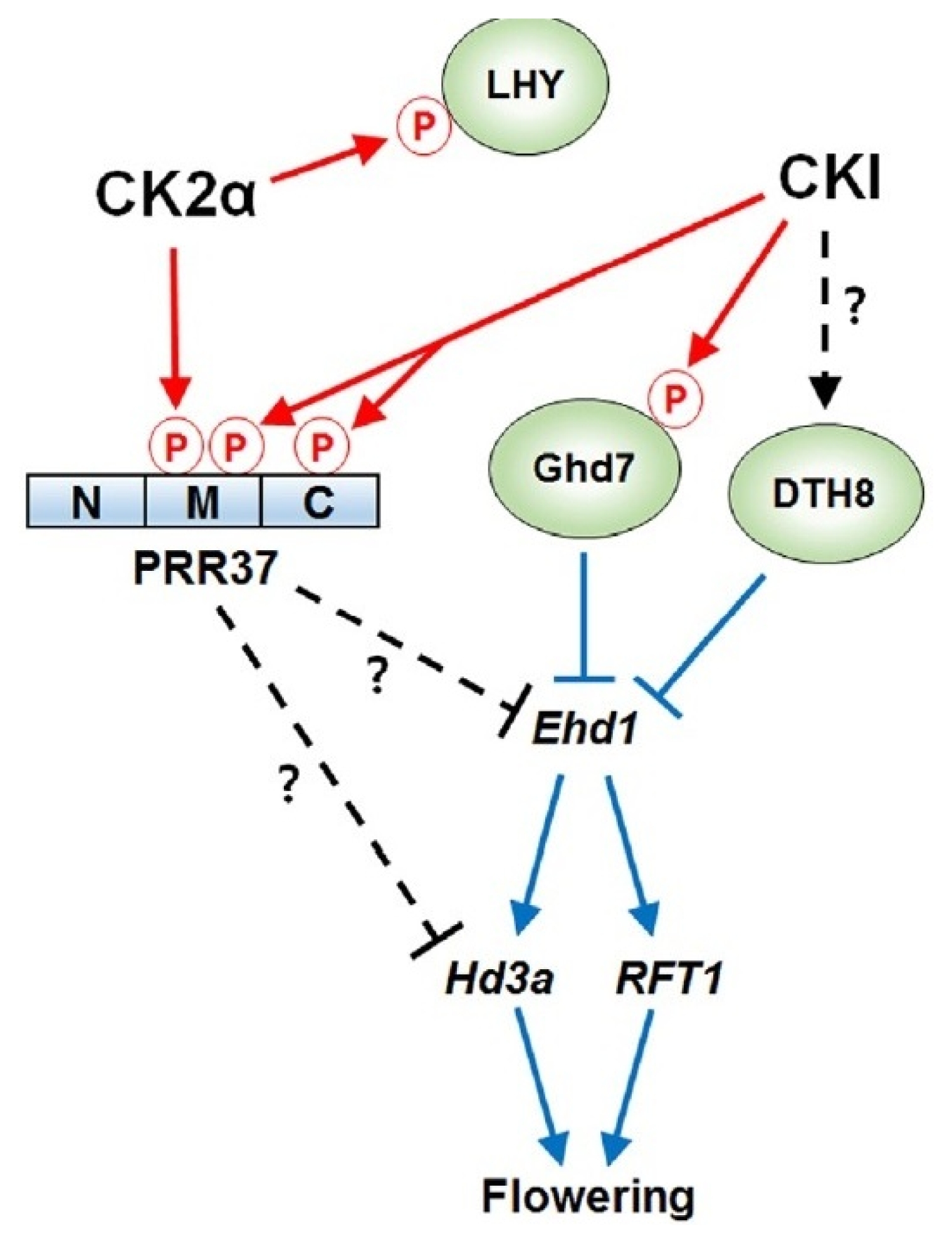 pbb-7-161f8.jpg