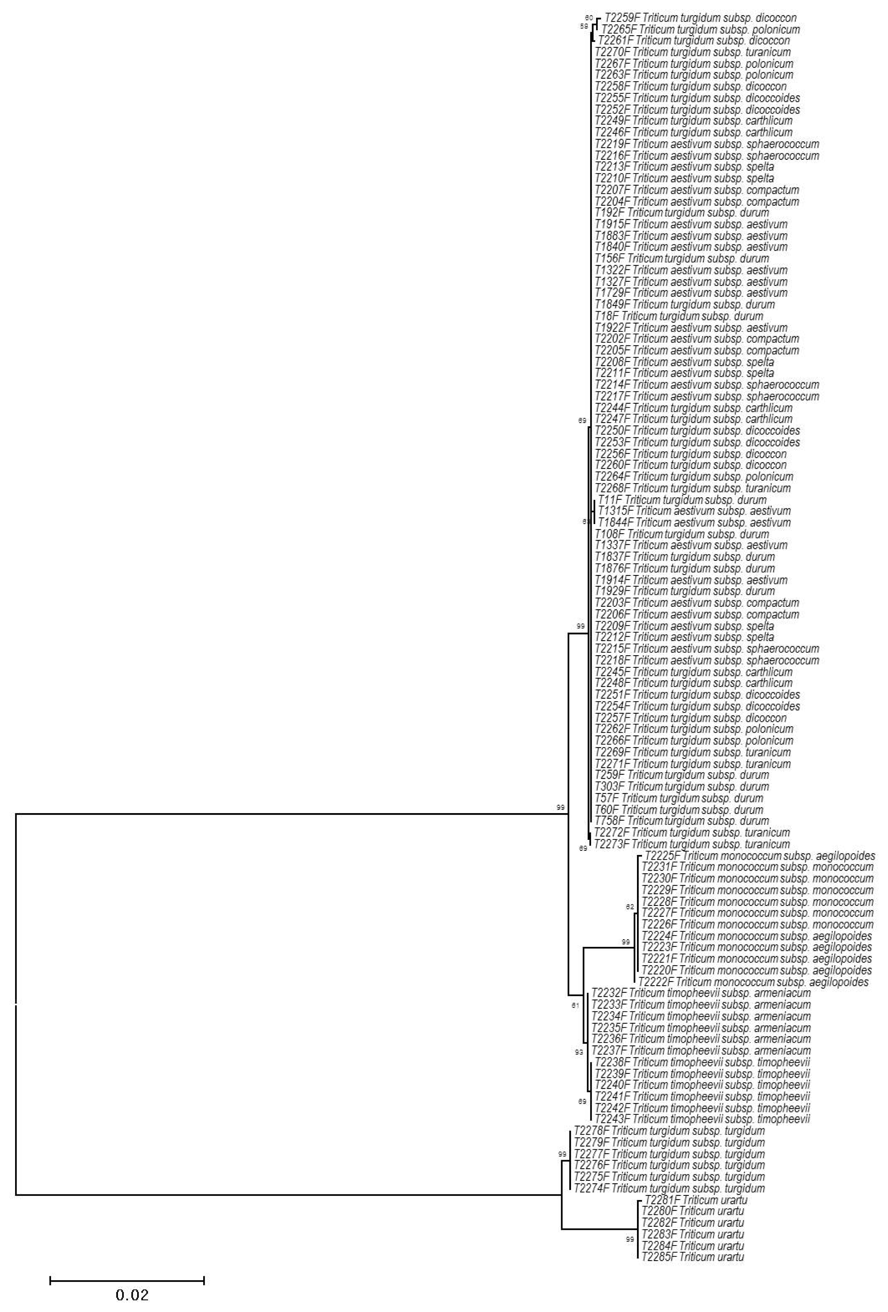pbb-7-220f2.jpg