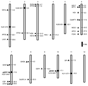 pbb-7-245f2.jpg